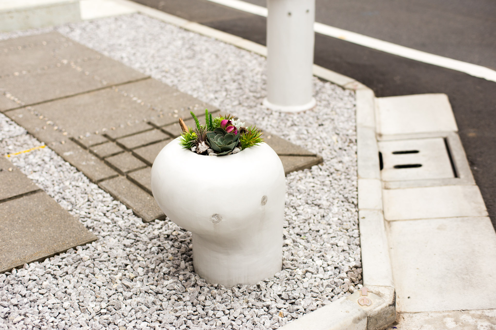 Photo : SUNAKI Inc.