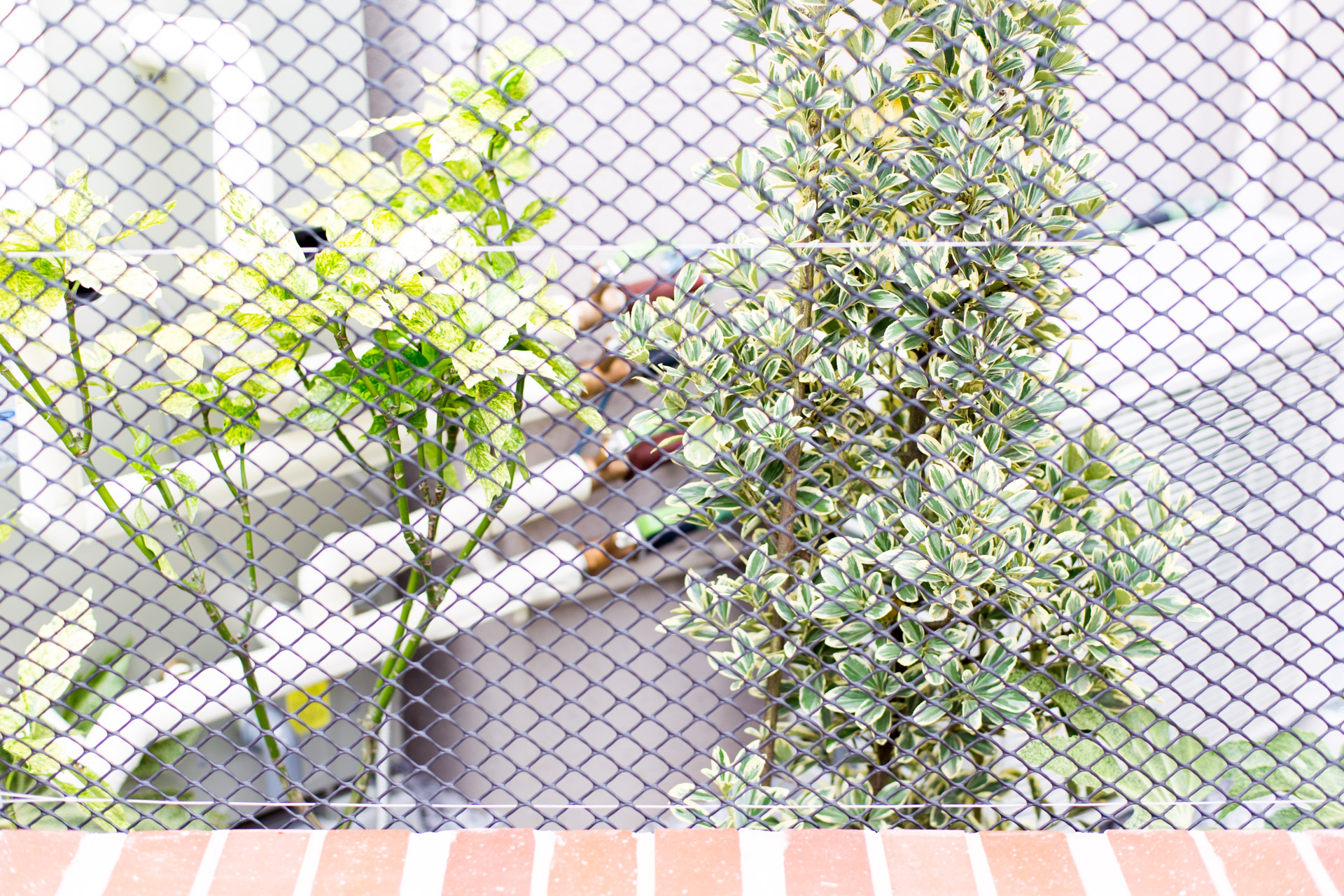 Photo : SUNAKI Inc.