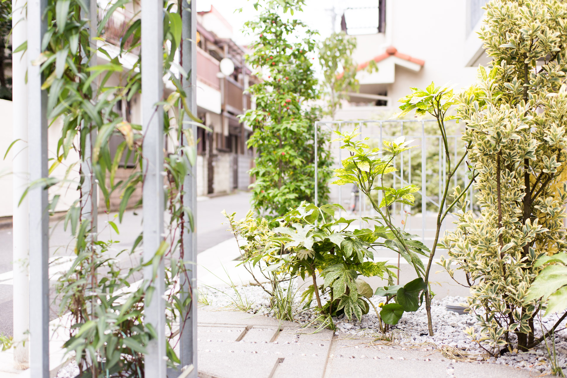 Photo : SUNAKI Inc.