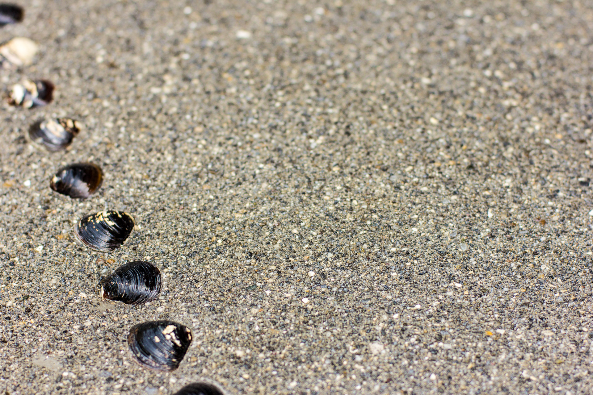 Photo : SUNAKI Inc.
