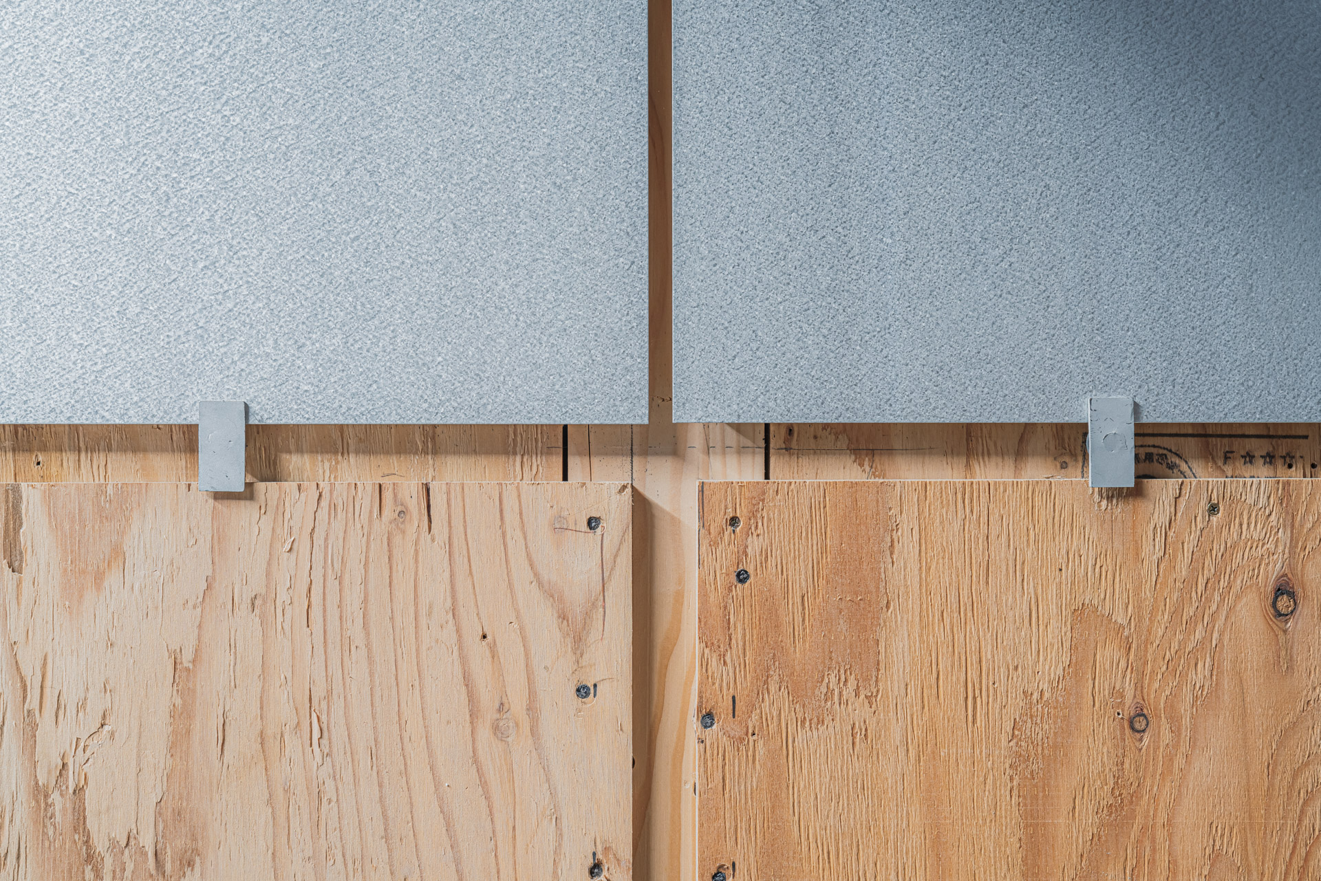 Photo : Kaori Yamane