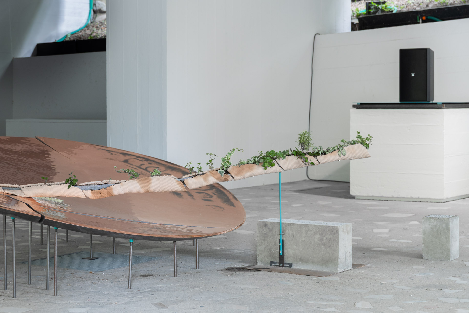 The Japan Pavilion at the 19th International Architecture